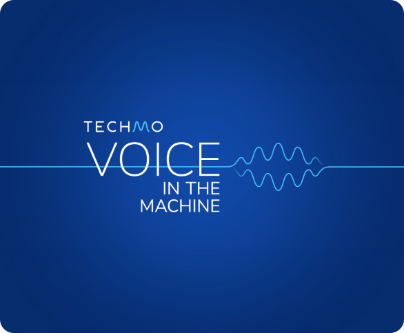 Techmo jest producentem technologii i narzędzi głosowych: rozpoznawania i syntezy mowy.